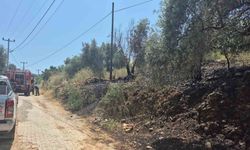 Ula’da yol kenarında çıkan yangın korkuttu