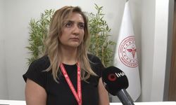 Uzmanından uyarı: "Kene, türünden bağımsız olarak birçok hastalığı taşıyabiliyor"