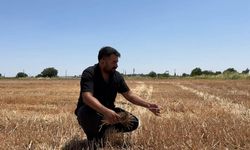 Uzmanlar ve çiftçiler anız yakmanın zararlarına dikkat çekti