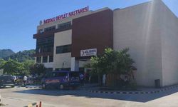 Üzüm yaprağı toplarken düşen kadın hayatını kaybetti