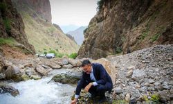 Vali Çelik’ten yayla yolunda inceleme