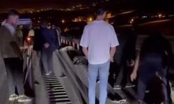 Van’da hafif ticari kamyonet sürüye çarptı; 8 koyun telef oldu