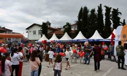 Vezirköprü’de çocuklar şenlikte buluştu