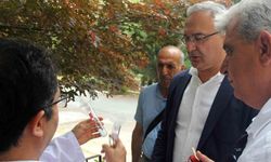 Yalova’da kahverengi kokarcaya karşı samuray arılar doğaya salındı