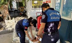 Yatağan Otogarı’nda etiketsiz 60 kilogram et ele geçirildi