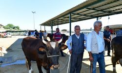 Yeşilyurt Belediyesi 41 noktada kurban satış ve kesim yeri belirledi