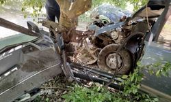 Yoldan çıkan otomobil ağaca çarptı: 1 yaralı