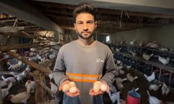 Yüksekovalı genç köyde kurduğu çiftlikle yumurta üretimine başladı