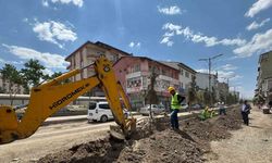 Aras Elektrik, Patnos’ta altyapı çalışmalarına başladı