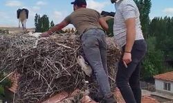 Ayağına ip dolanan leyleği itfaiye ekipleri kurtardı