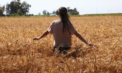 Aydıntepe’de termometreler 37 dereceyi gösterdi