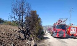 Burdur’da ceviz bahçesi ve 5 dönüm tarım arazisi yandı