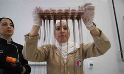 Dezavantajlı kadınlar çikolata üretimini öğreniyor
