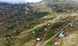 Doğu Karadeniz’deki yaylalar kaçak betonlaşma tehdidi altında