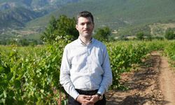 Don geciktirdi ama üretim düşmedi, yaprakta hedef 2 milyar liralık gelir