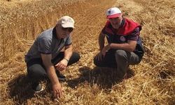 Düzce’de verimli hasat için yerinde denetim