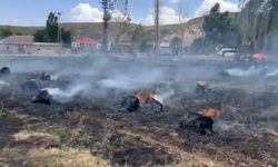 Hakkari’de yaklaşık bin 500 bağ ot kül oldu