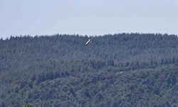 Havadan sonra karada da tam isabet: KEMANKEŞ 1 hedef tanımıyor
