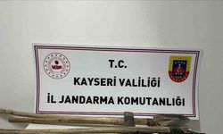 Jandarmadan izinsiz kazı yapanlara suçüstü