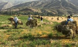 Kızgın güneş altında ekmek mücadelesi