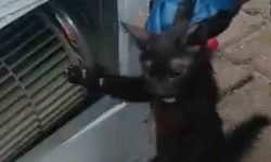 Klimanın motoruna sıkışan kedi için ekipler seferber oldu