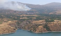 Malatya’da orman yangınına havadan müdahale