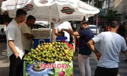 Mersin’de doğada kendiliğinden yetişen dikenli incir seyyar tezgahlarda