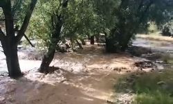 Mersin’de sağanak yağış sele neden oldu