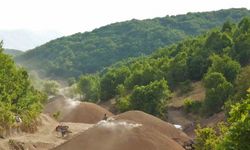 Muş dağlarında mangal kömürü üretimi