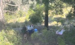 Ormanda piknik yapan 4 şahsa yasal işlem yapıldı
