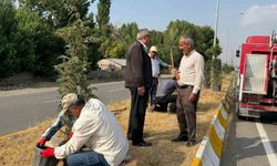 Patnos’ta yeşil alan çalışmaları sürüyor