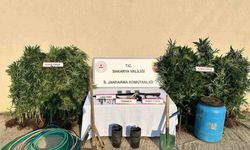 Sakarya’da uyuşturucu operasyonu: 1 tutuklama