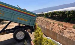 Sarıgöl’de şaraplık üzüm alımları başladı
