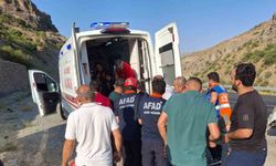 Hakkari’de trafik kazası: 1 yaralı