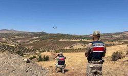 Kilis’te kaybolan küçükbaş hayvanlar bulundu