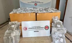 Mersin Limanı’nda 587 kilogram esrar ele geçirildi