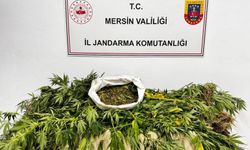 Mersin’de uyuşturucu operasyonu