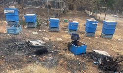 Milyonlarcası ateşe uçtu bir daha geri dönmedi