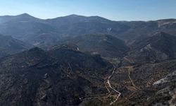 Orman yangınından geriye kalan acı manzara: 15 bin dönümden fazla alan küle döndü