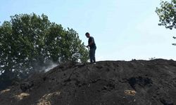 Sıcak havada kömür üretimi mesaisi