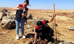 Şırnak’ta tarımsal üretime yön verecek etüt çalışmaları başladı