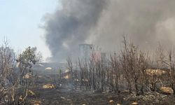 Şırnak’taki örtü yangını 7 saatte söndürüldü