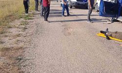 Sivas’ta iki otomobil kafa kafaya çarpıştı: 1 ölü, 1 yaralı