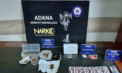 Torbacılara şafak baskını, ev tipi serada uyuşturucu yetiştirmişler: 8 tutuklama