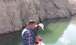 Van’da sazangiller av yasağı sona erdi
