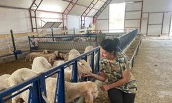 Veteriner genç kadın, kendi işletmesini kurdu