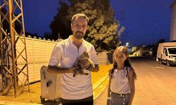 Yüksekova’da baba-kız yaralı kediyi hayata döndürdü