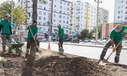 Diyarbakır’da cadde ve bulvarları yenileniyor