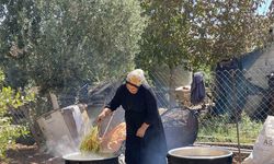 Şanlıurfa’da üzümün pekmez yolculuğu başladı