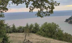 Denizin rengi değişti, plaja tıbbi atıklar vurdu